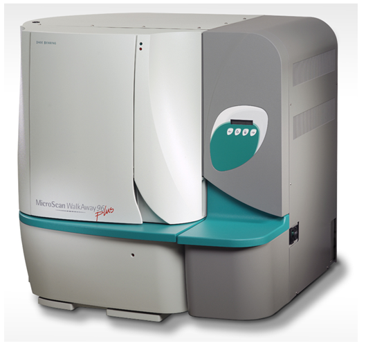 Magnetic resonance imaging (MRI)